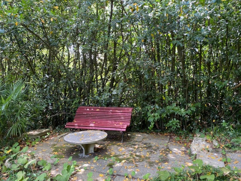 21 Chambres Chambres,Demeure,A vendre,1170 21 Chambres Chambres,Demeure,A vendre,1170